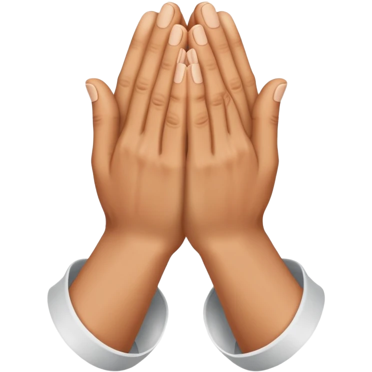 hands in a praying gesture emoji