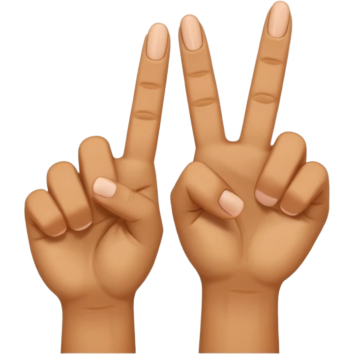 🖕🖕🖕🖕 emoji