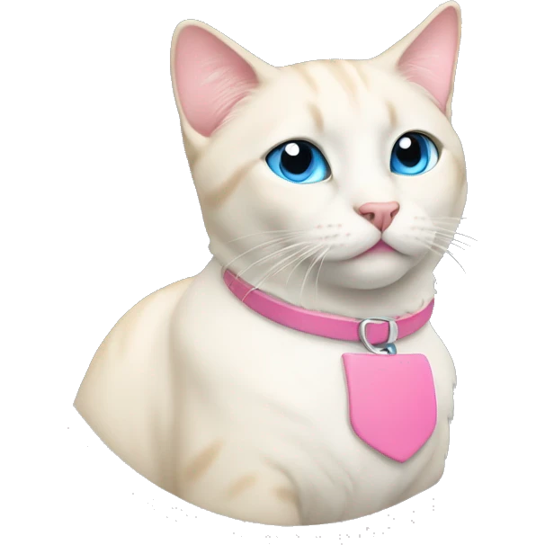 cream cat with light blue eyes and a pink collar sitting emoji