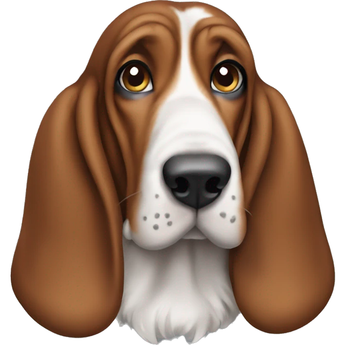 basset hound  emoji