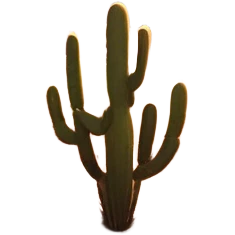 Cinematic Realistic Desert Emoji in a frame, Expansive and arid, with vast stretches of golden sand dunes and scattered cacti, the sun casting a warm, almost orange glow over the dry, cracked earth. The horizon blurs into a heat shimmer, while the occasional desert flower adds a splash of color to the barren landscape. Soft glowing outline, capturing the essence of the harsh yet stunning beauty of the desert, calm and quiet, filled with silence and mystery. emoji