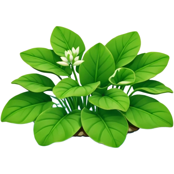 Water Hyacinth emoji