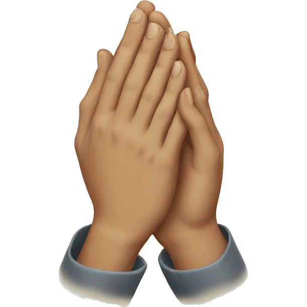 PRAYING HANDS emoji