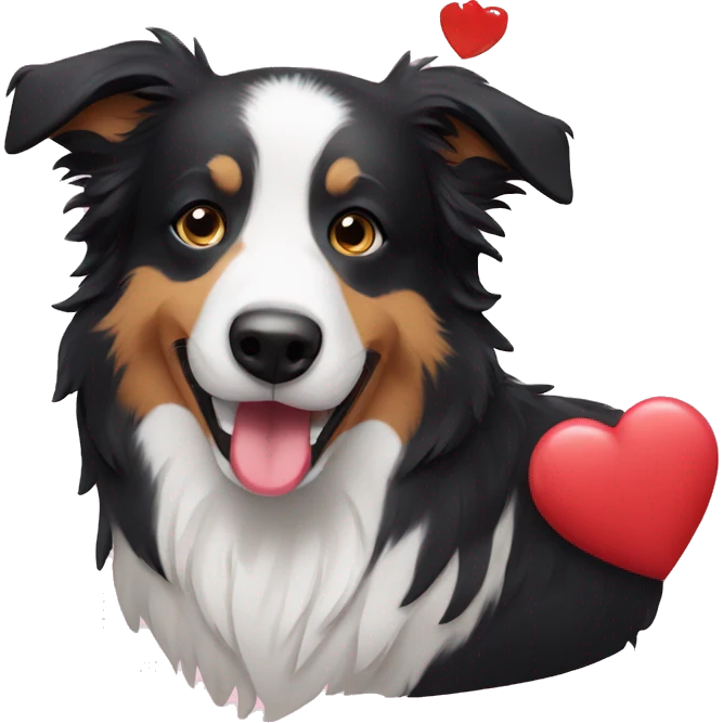Bordercollie holding heart emoji