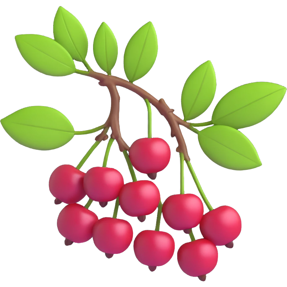 Prunus mahaleb cherry branch with dark red berries and green leaves, modern 3D iOS style, volume, clean background, realistic details emoji