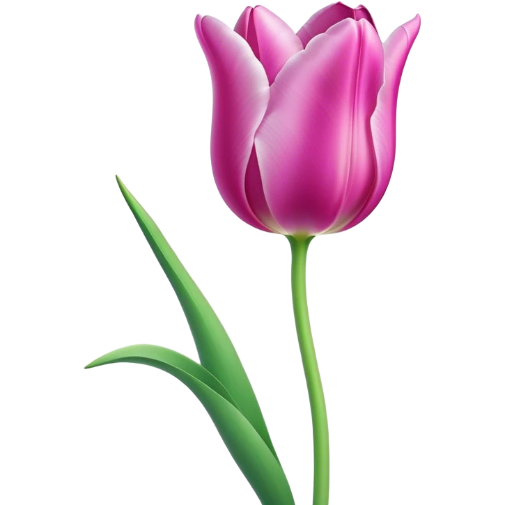 Cinematic Realistic Tulip Emoji, Elegant and simple, with soft, smooth petals in shades of pink and purple, gently curved and reaching upward. The slender green stem contrasts against the delicate bloom, while surrounding greenery adds a peaceful touch. Soft glowing outline, capturing the essence of springtime beauty and grace in a delicate tulip. emoji