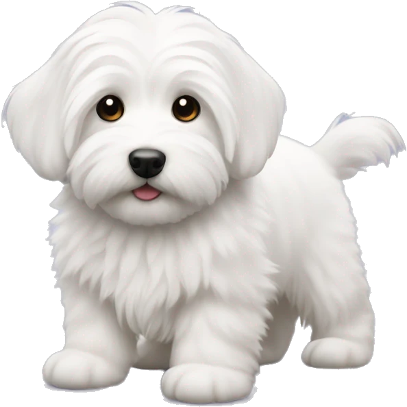 Coton de tulear Puppy emoji