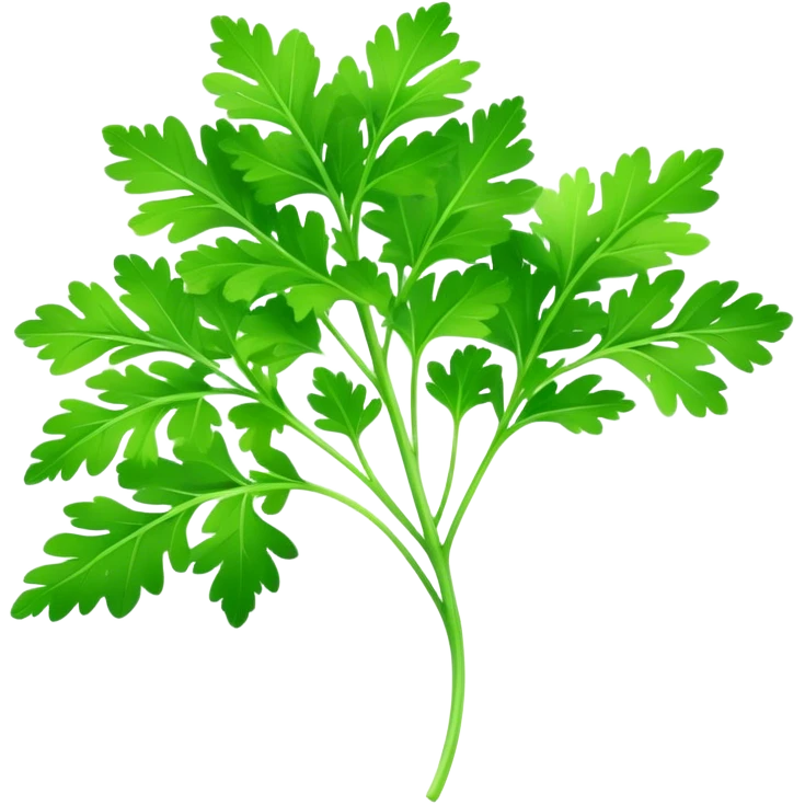 Cinematic Realistic Parsley Emoji, Fresh and vibrant, with bright green, frilly leaves that seem to shimmer with vitality. The plant exudes a sense of healthy growth and aromatic zest, inviting both beauty and flavor into any dish. Soft glowing outline, capturing the essence of freshness, health, and culinary delight in a sprig of parsley! emoji