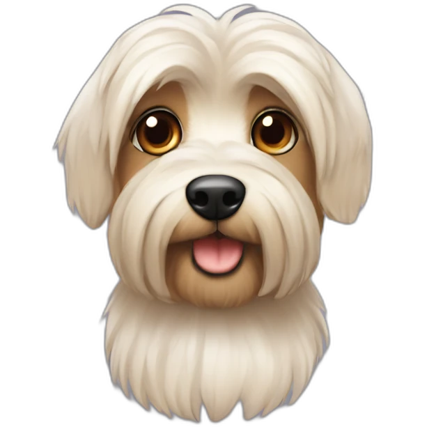Maltês Yorkshire com laço emoji