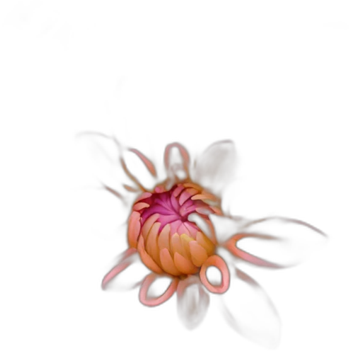 dahlia emoji