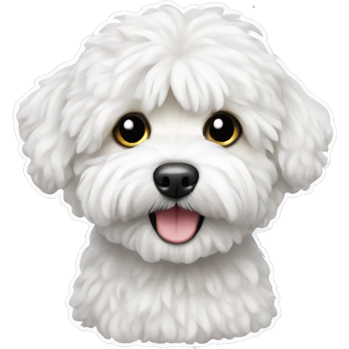 Maltipoo and snow emoji