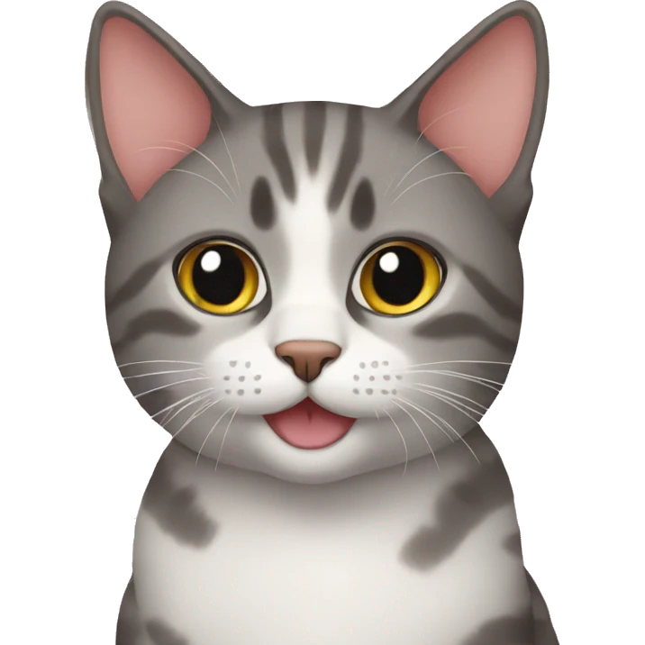 cat emoji