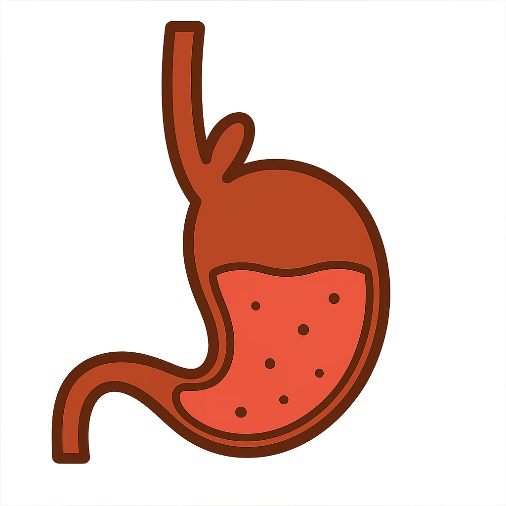 Create an emoji in a simple anatomical style similar to the reference image of esophagus and stomach. The emoji should have a transparent background and resemble the anatomical style but adapted to emoji style. emoji