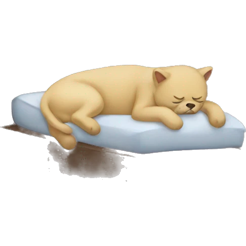 Sleeping  emoji