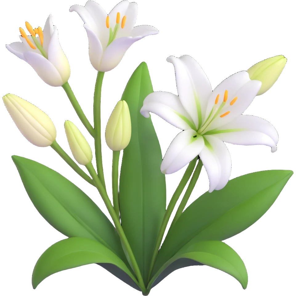 detailed white lily with six petals, a closed bud, and several green leaves emoji