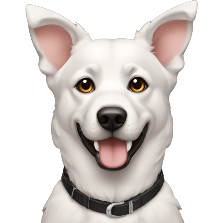 perro pinsher negro de cumpleaños emoji