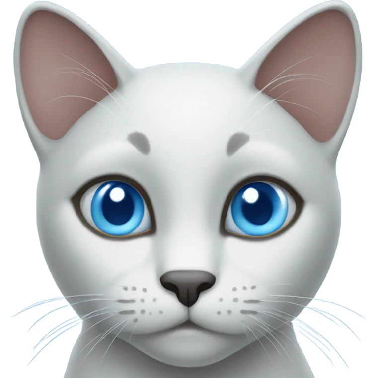 blue  cat  with  blue  eyes emoji
