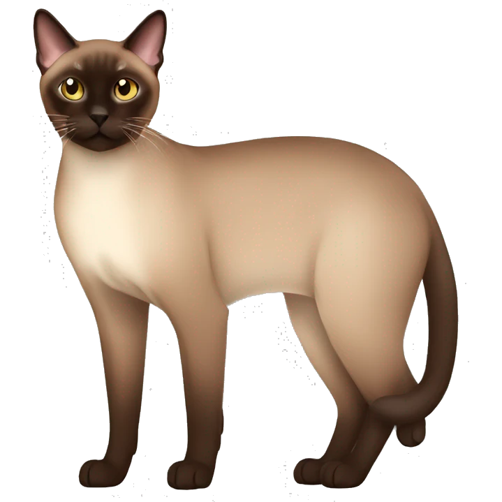 dark brown tonkinese Cat Full Body emoji