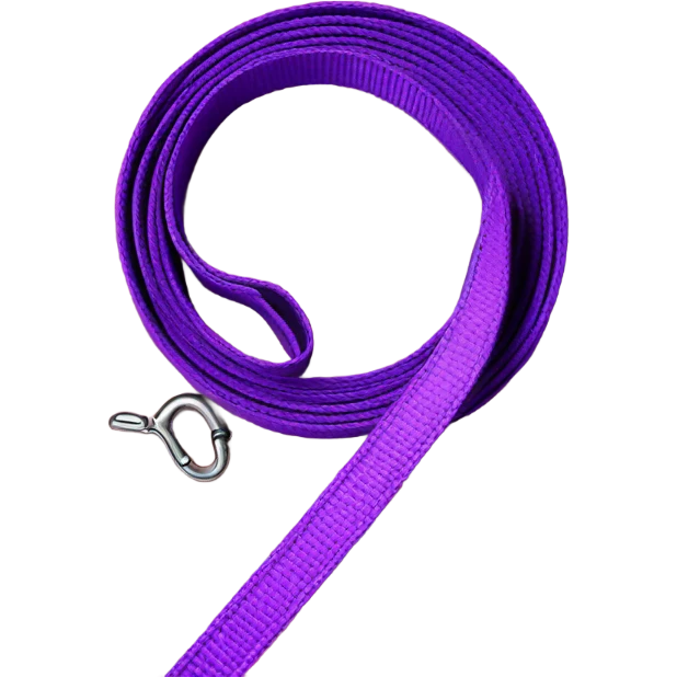 purple dog leash emoji