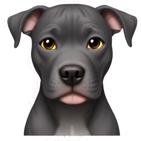 all dark grey pitbull no white with hazel eyes girl emoji