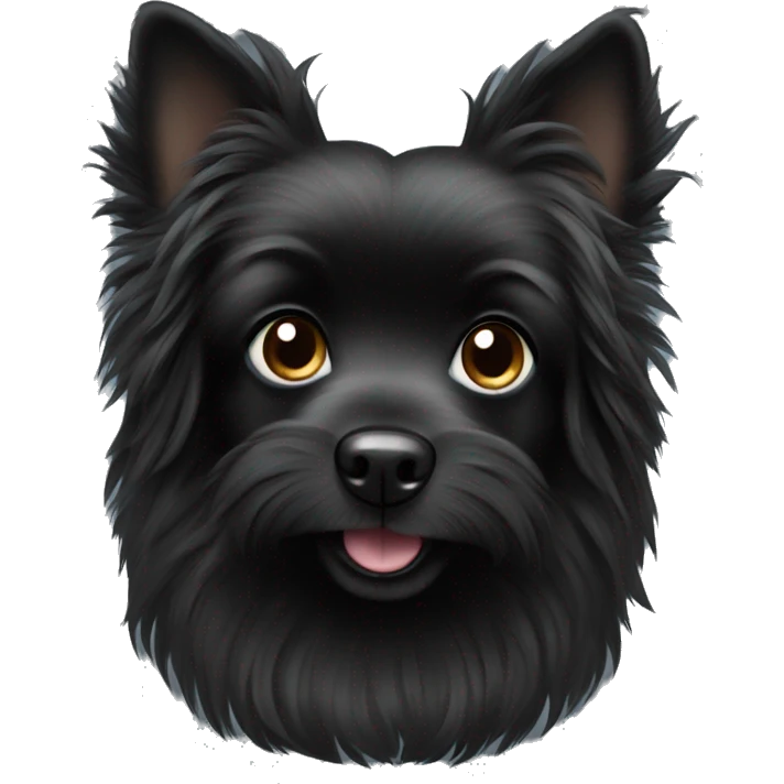 Little black dog with long fur emoji