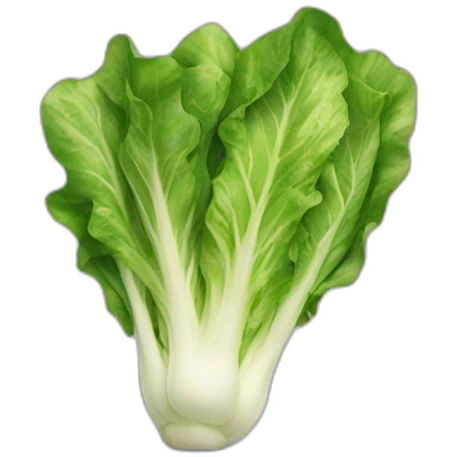 lettuce emoji