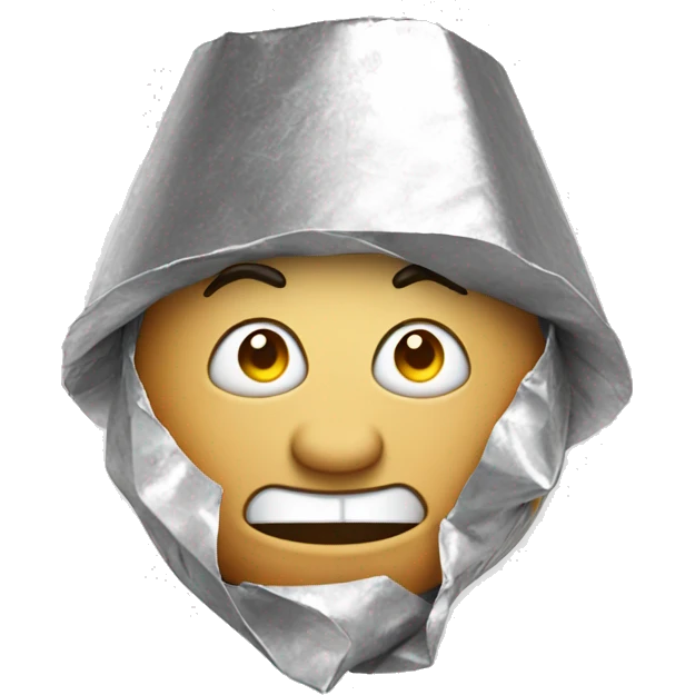 the stupid face with the tinfoil hat emoji