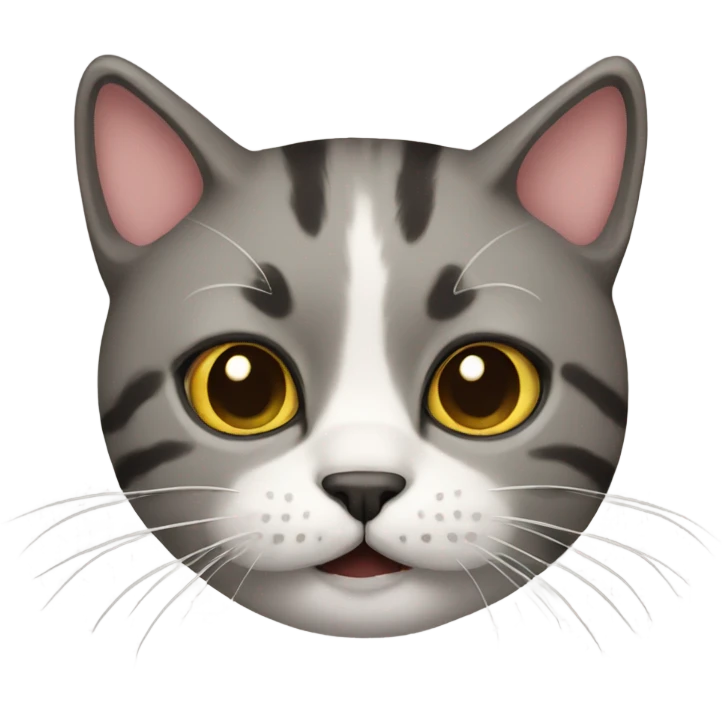 cat with a moustache  emoji