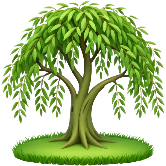 A 3D cartoon willow tree with drooping green branches over soft grass, natural sunlight, Memoji-style rendering. emoji