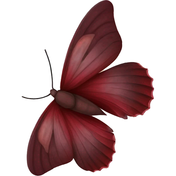 Burgundy colored moth ￼ emoji