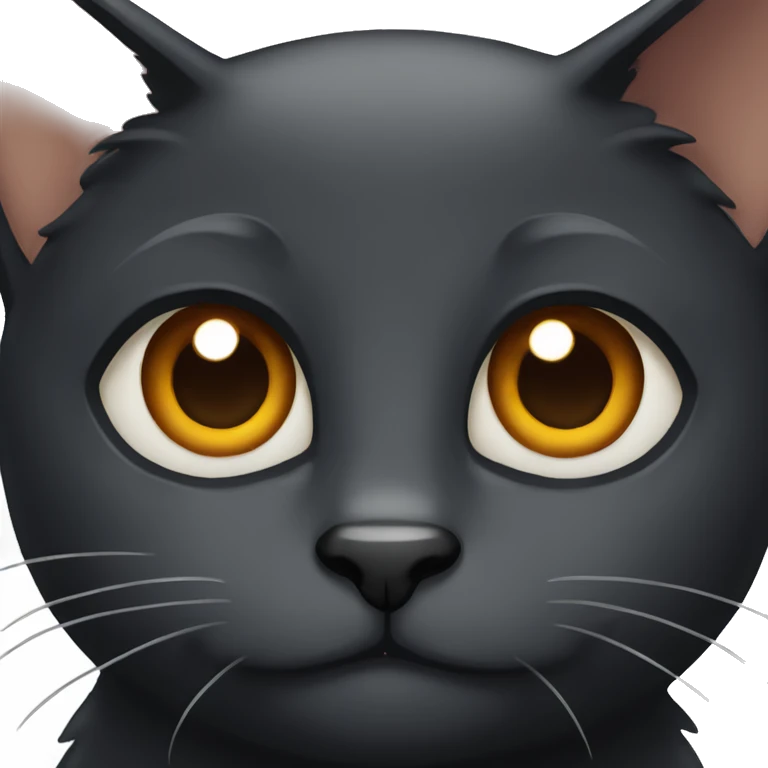 Black cat with brown eyes emoji