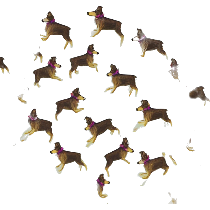  brindle brown black maroon gold lurcher Alsatian fox running blue eyes and iridescent holographic oilslick harness wearing paper iridescent tropical flower crown yellow caution tape emoji