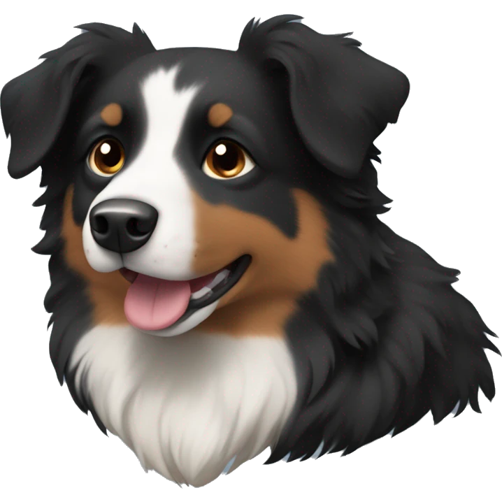 Small black australian shepherd dog with brown muzzle emoji