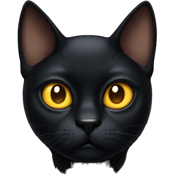 black cat with golden eyes scowling emoji