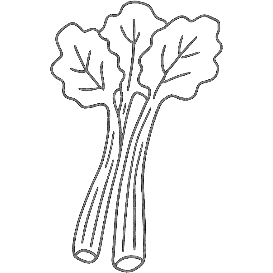 hand-drawn outlined rhubarb, sketchy lines emoji