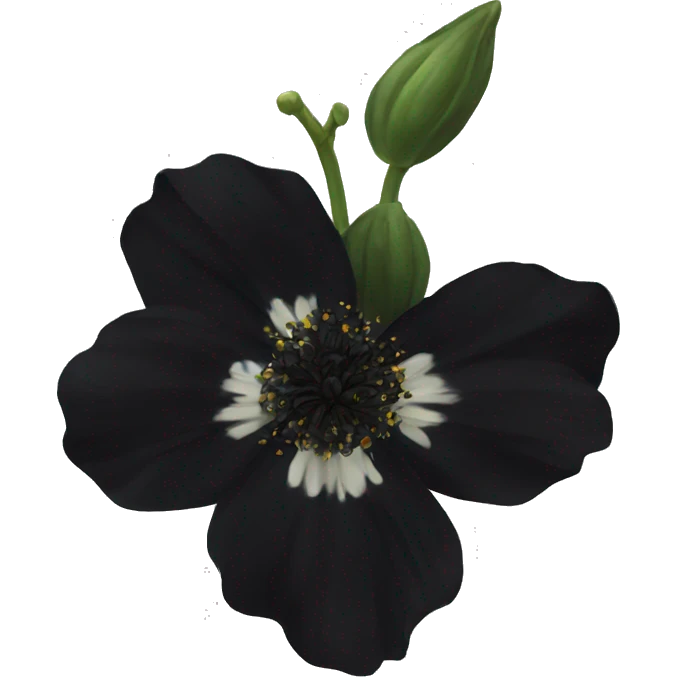  semi real Black flower emoji