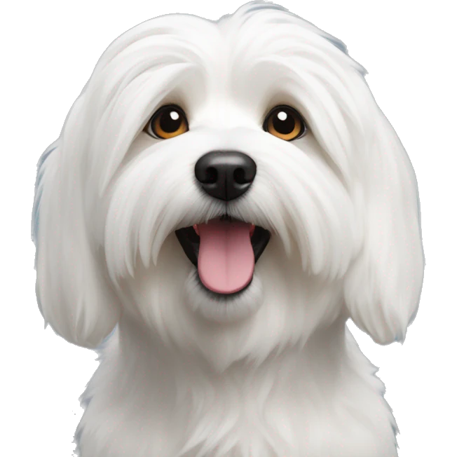 Coton de Tulear dog emoji