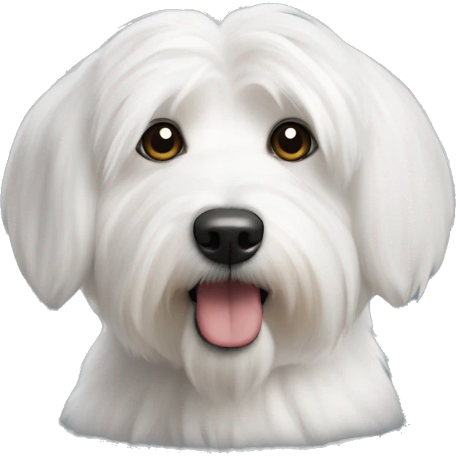Coton de tulear emoji