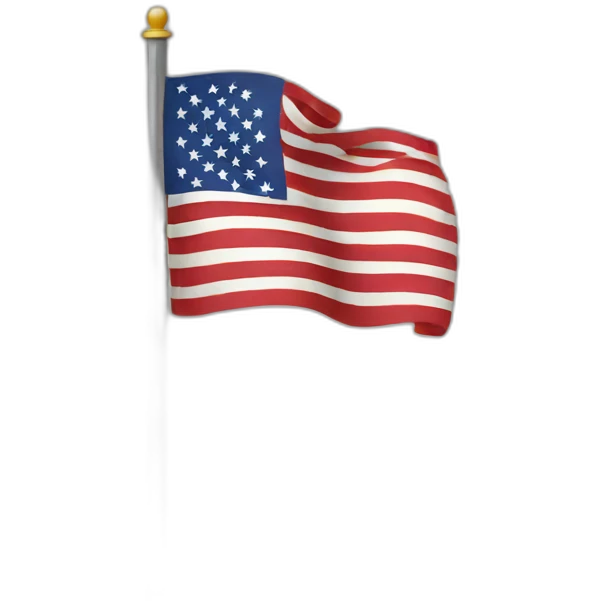 US flag emoji