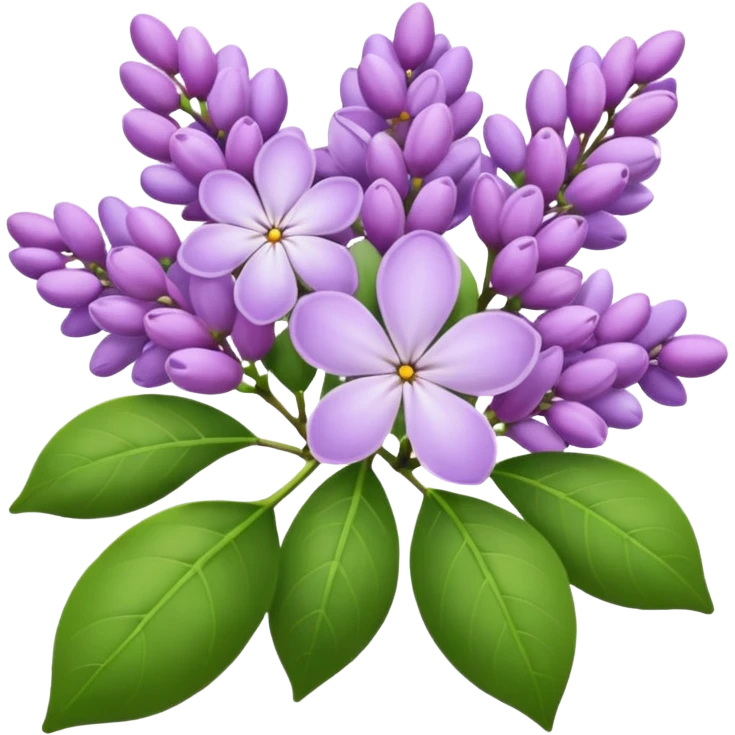 Lilac emoji