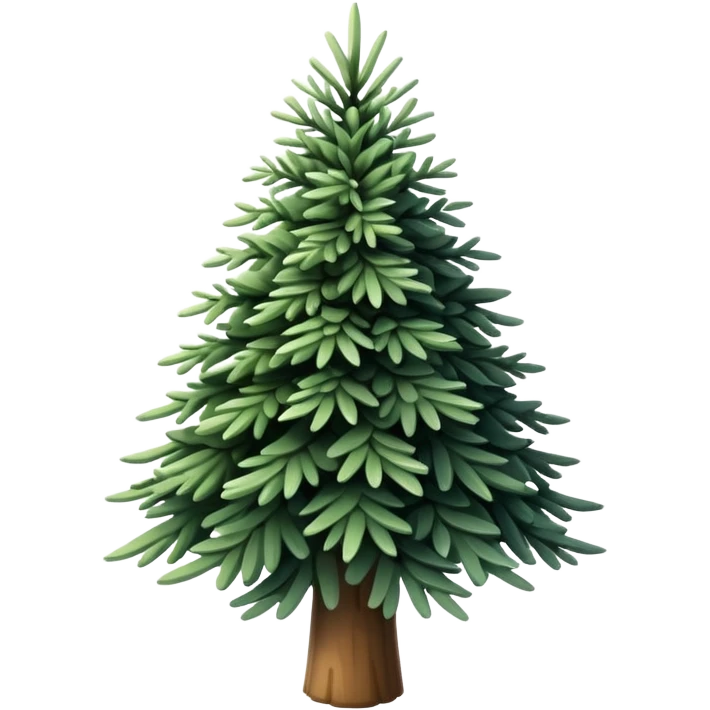 actual white fir Christmas tree, isolated emoji