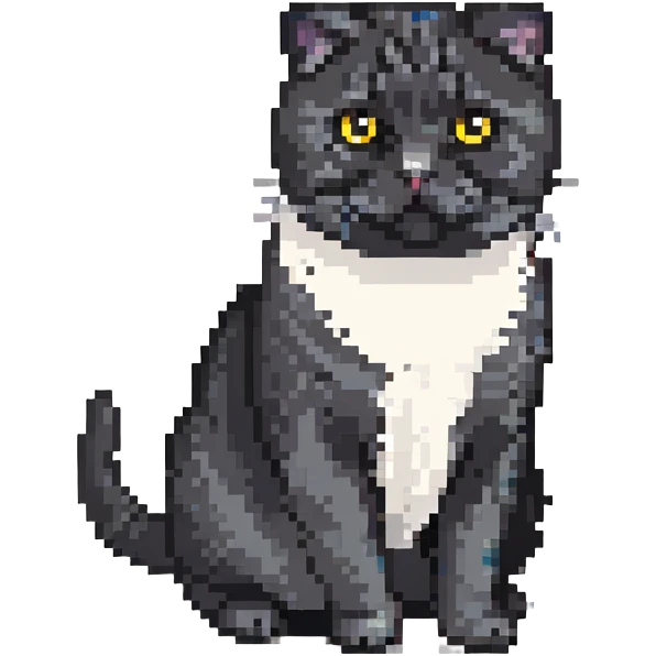 black Scottish fold cat with white spot on the chest emoji