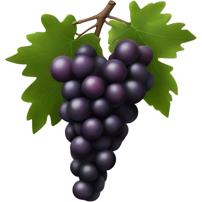 Burgundy grapes black and wight emoji