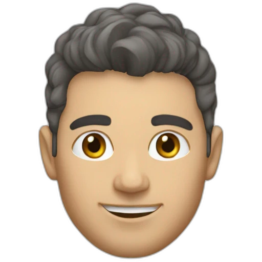 Sylvain levy emoji