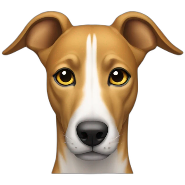 Front view, greyhound, brown yellow tiger emoji