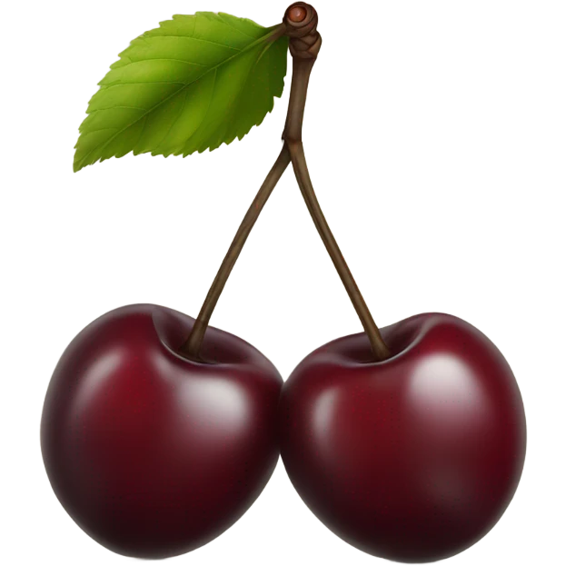 two burgundy cherries on black stem emoji
