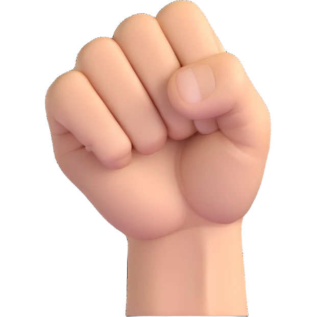 angry fist emoji
