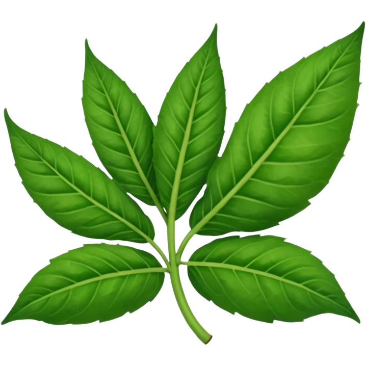 Tobacco leaves with word Tara emoji