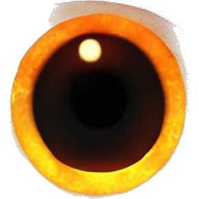 Eye of Sauron with glowing orange iris, set in a dark tower. emoji