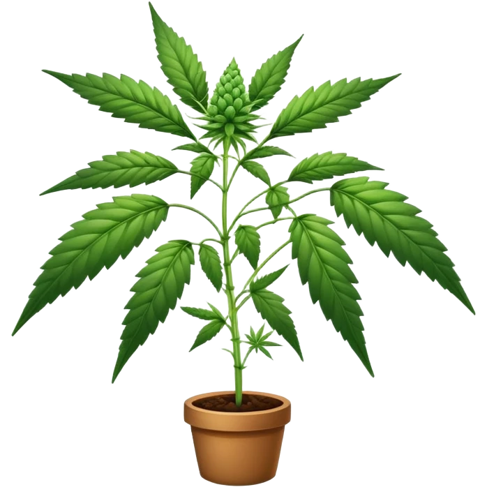 Cannabis emoji